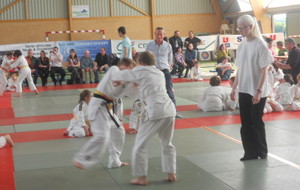 51ac82516dcc8_judodesonzayle2605201348.JPG